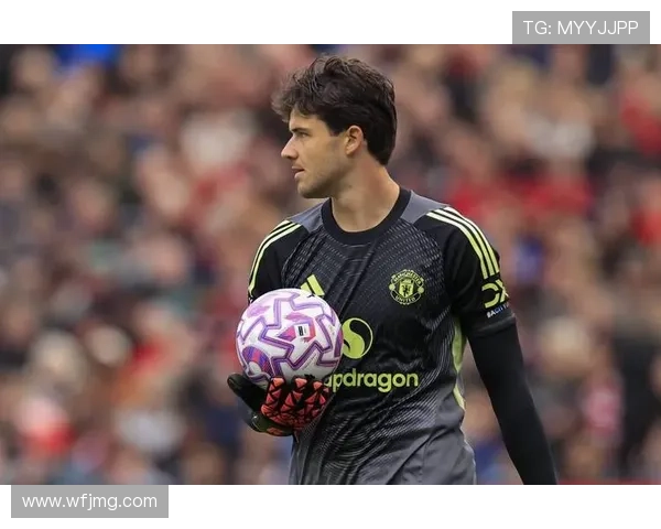 特尔欲在弗兰克未来不明时重返热刺